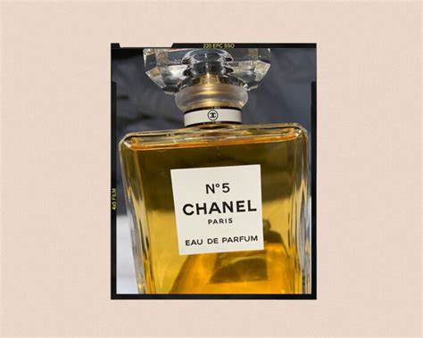 coco chanel 19|what does chanel no 5 smell like.